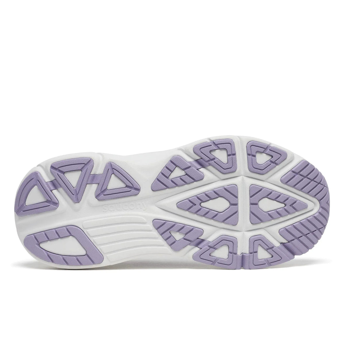Sail | Orchid