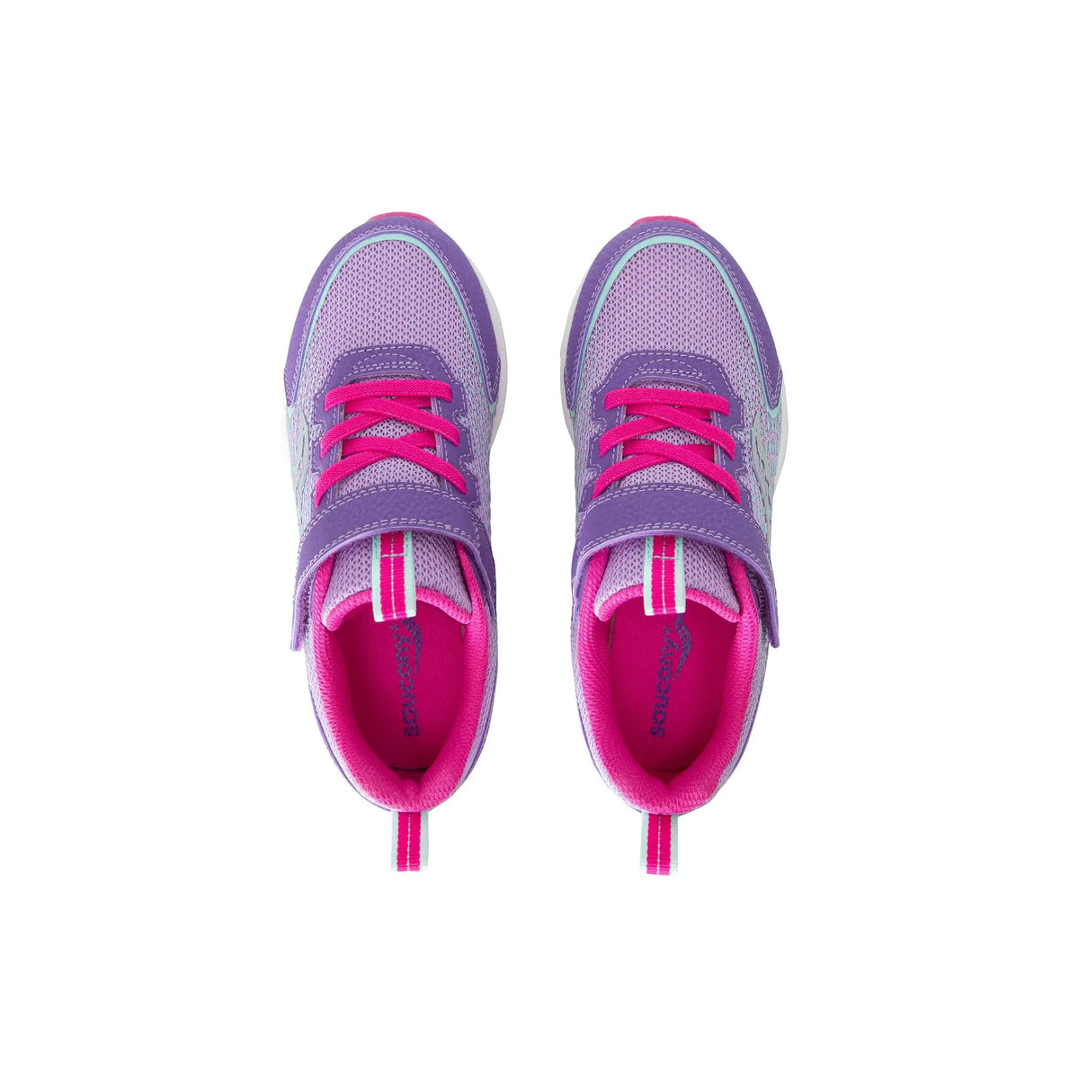 Purple/Pink