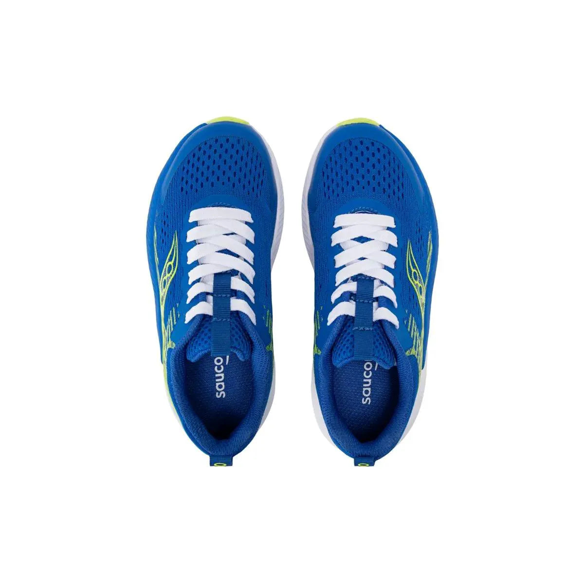 Blue/Lime