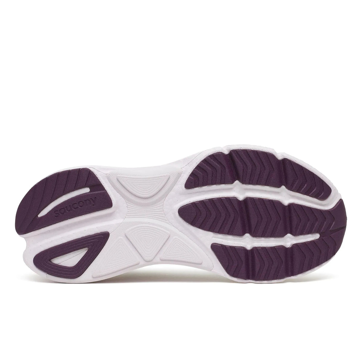 Ivory | Eggplant