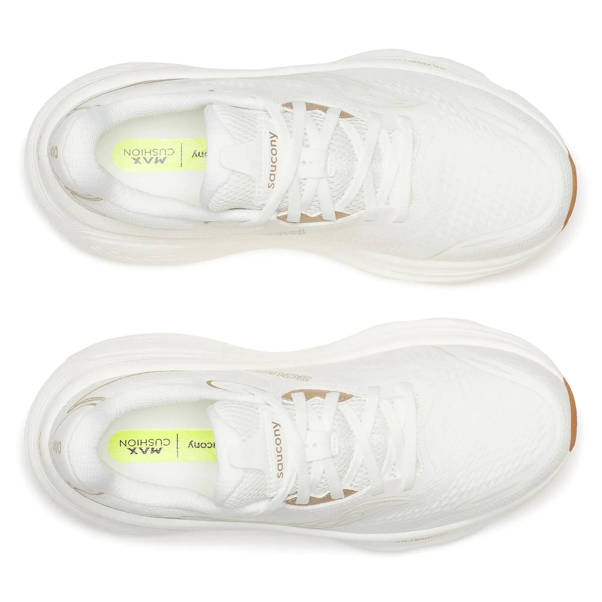 Ivory | Gum
