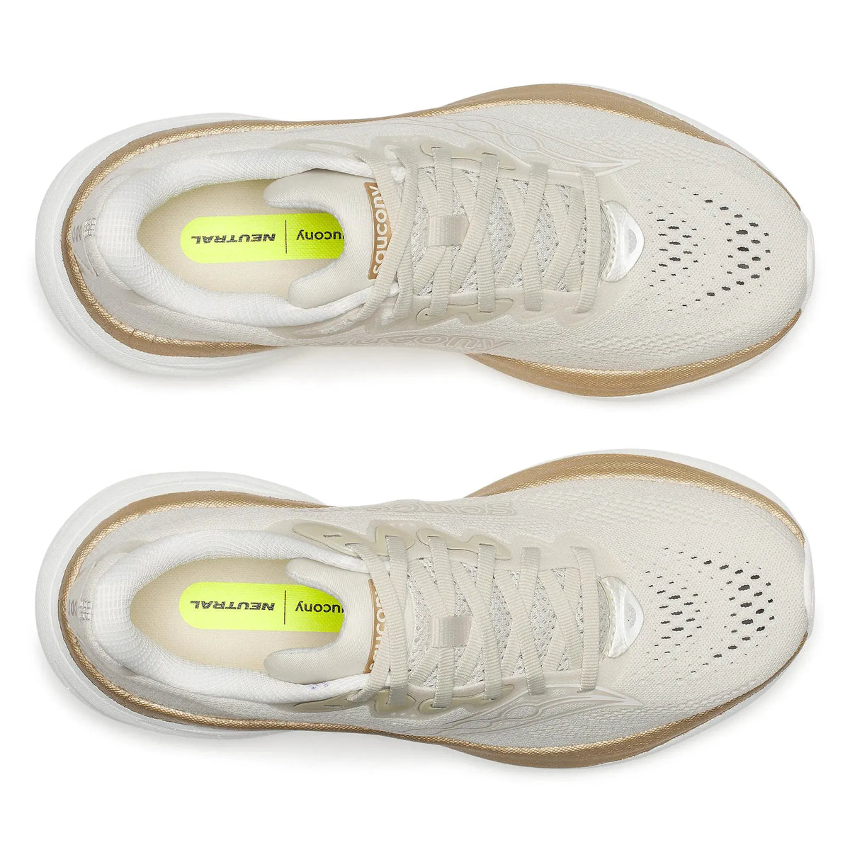 Eggshell | Ivory