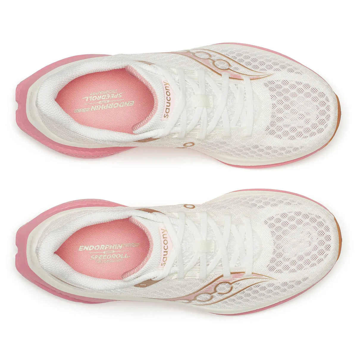 Ivory | Mauve